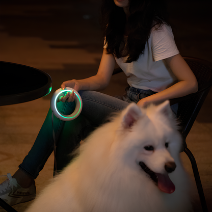 Cosy Pet™ Safe Walk – Retractable Dog Leash