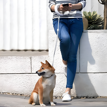 Cosy Pet™ Safe Walk – Retractable Dog Leash