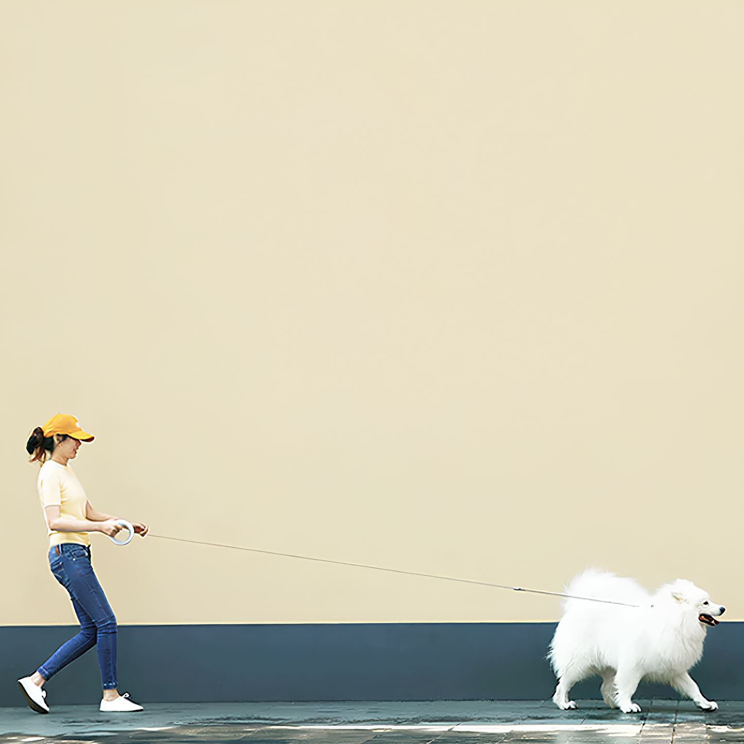 Cosy Pet™ Safe Walk – Retractable Dog Leash