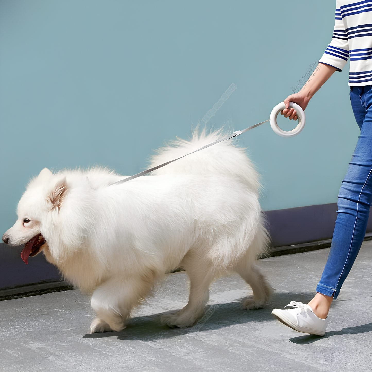 Cosy Pet™ Safe Walk – Retractable Dog Leash