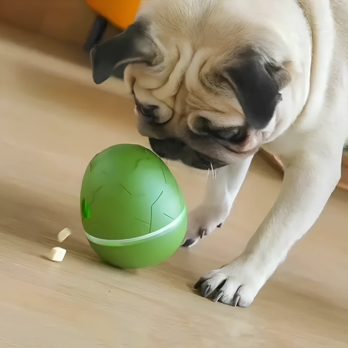 Cosy Pet™ Fun Egg – Dancing Pet Toy