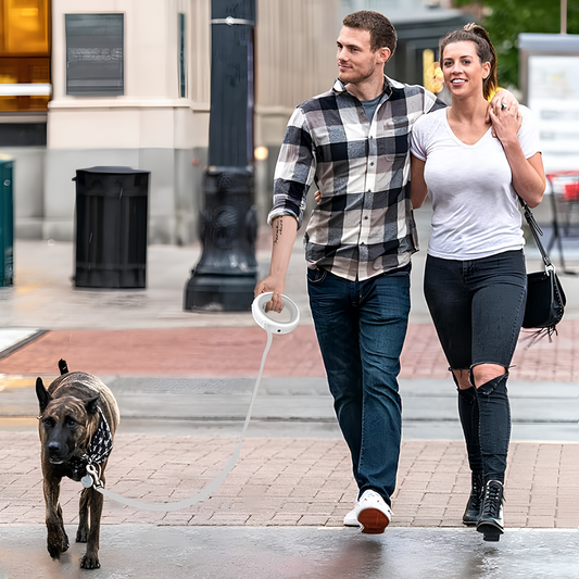 Cosy Pet™ Safe Walk – Retractable Dog Leash